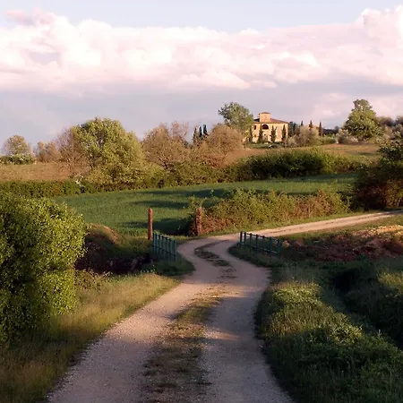 Podere Pievina Delle Corti Sinalunga